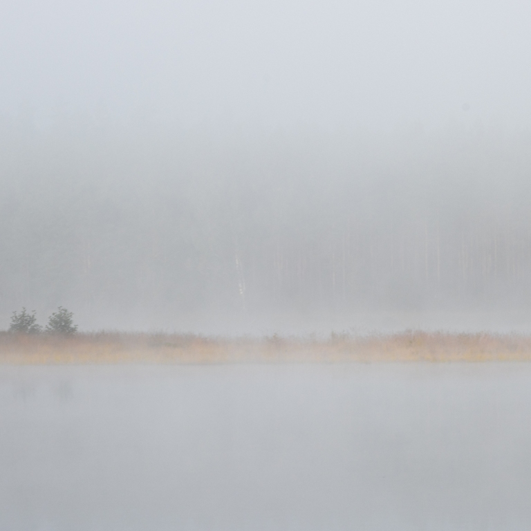 1_DSC_1259